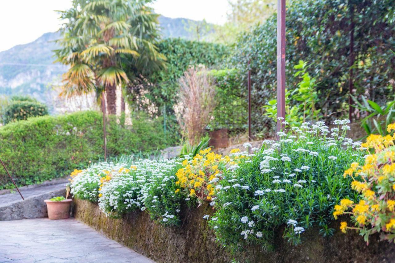 Casa Alice Daire Lierna Dış mekan fotoğraf